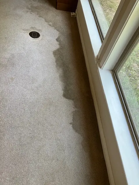 Hart's Steam Cleaning — customer photo 12
