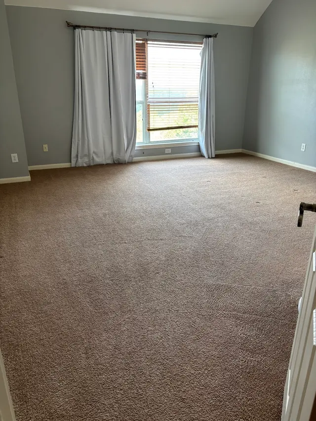 Peace Frog Specialty Cleaning — customer photo 7