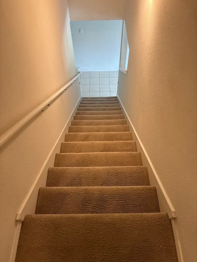 Peace Frog Specialty Cleaning — customer photo 4
