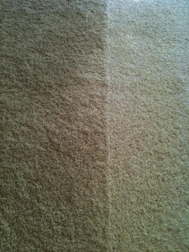 Peace Frog Specialty Cleaning — photo from the business 8