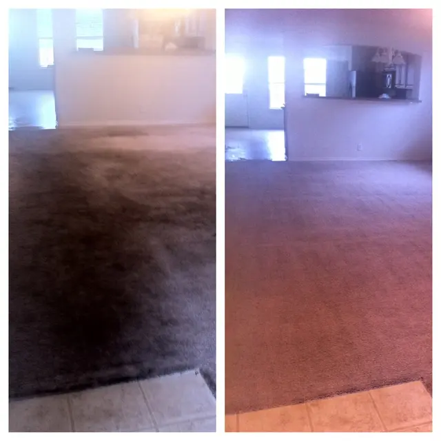Steam Master Cleaning — photo from the business 6