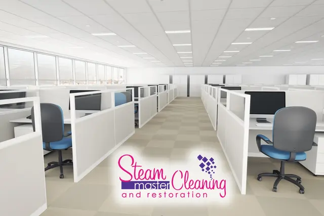 Steam Master Cleaning — photo from the business 11