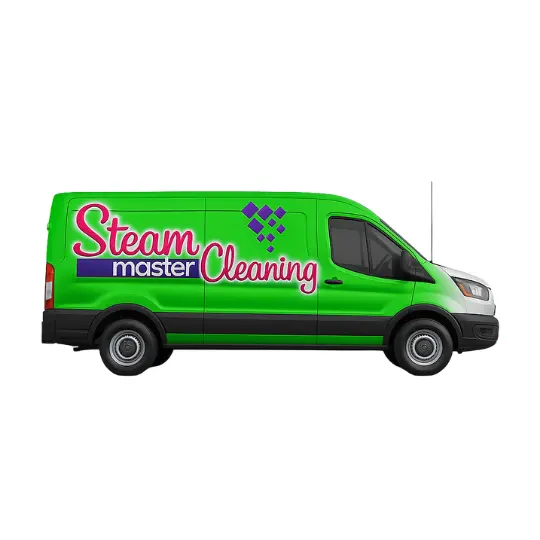 Steam Master Cleaning — photo from the business 1