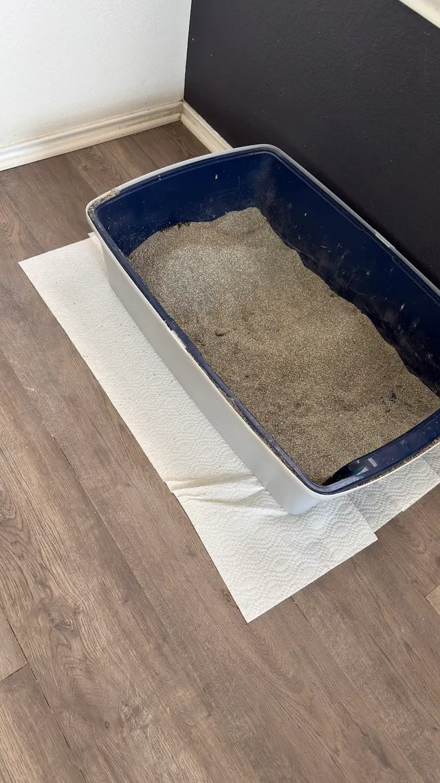 Customer photo of work by Swept Up Cleaning Co., from Hyeon I Son (Marie)'s review