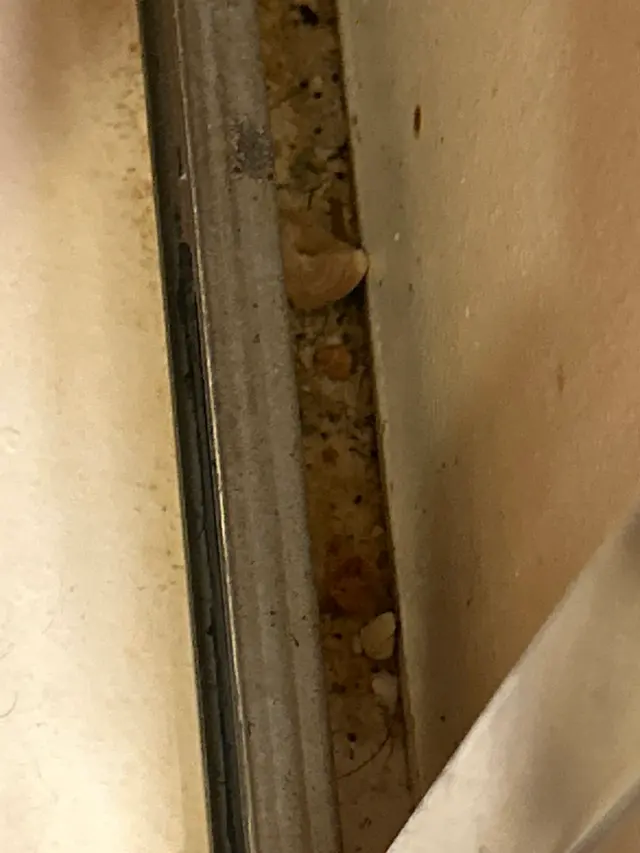 Customer photo of work by Swept Up Cleaning Co., from Ariel's review