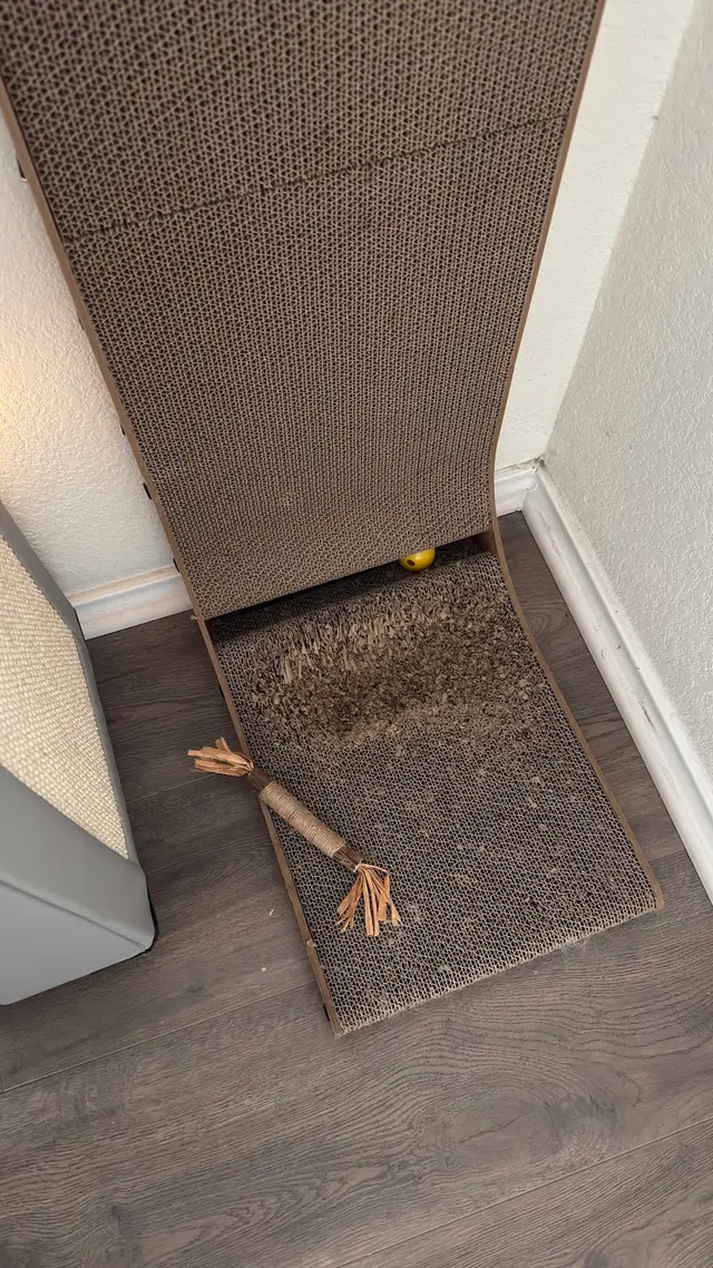 Customer photo of work by Swept Up Cleaning Co., from Hyeon I Son (Marie)'s review