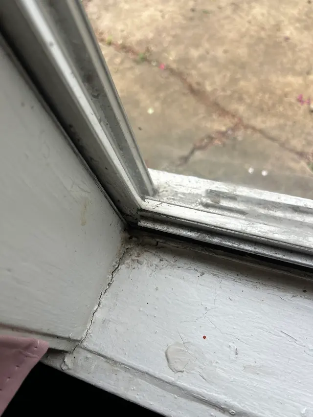 Customer photo of work by Swept Up Cleaning Co., from Ariel's review