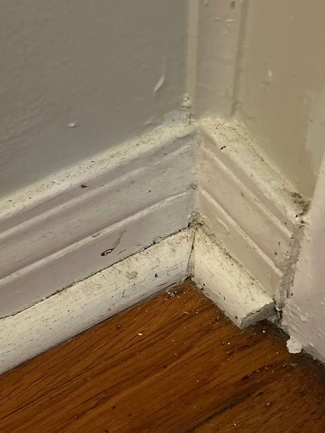 Customer photo of work by Swept Up Cleaning Co., from Ariel's review