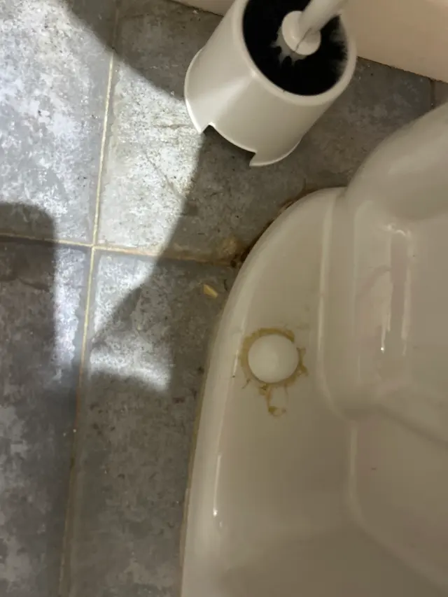 Customer photo of work by Swept Up Cleaning Co., from Ariel's review