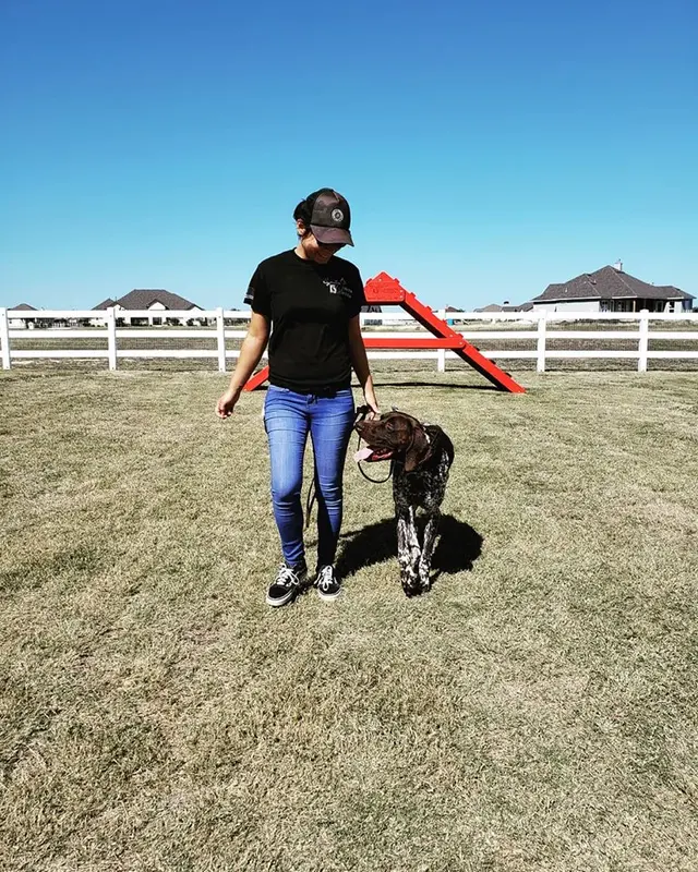 Signature K9 Training Academy — photo from the business 10