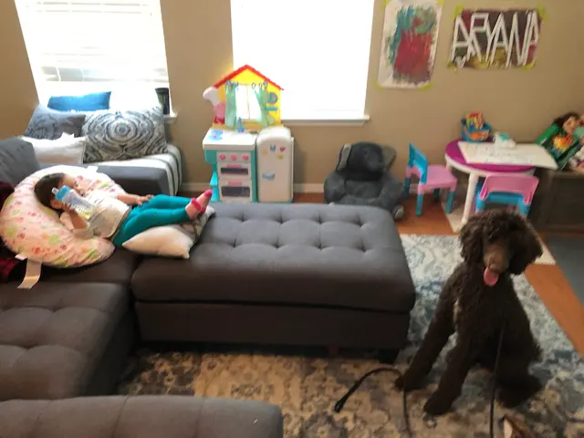 Signature K9 Training Academy — photo from the business 11