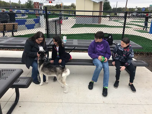 Signature K9 Training Academy — photo from the business 4