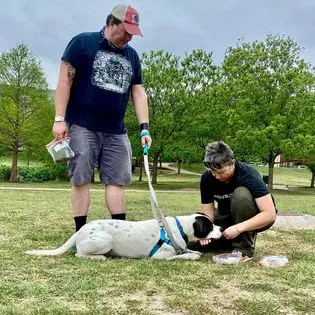 Every Dog Behavior and Training (North) — photo from the business 6