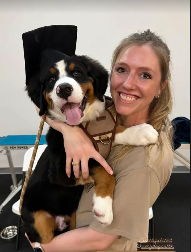 Every Dog Behavior and Training (North) — photo from the business 12
