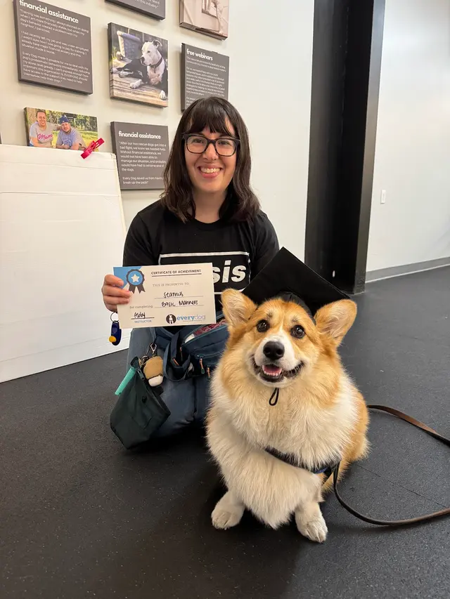 Every Dog Behavior and Training (North) — photo from the business 1