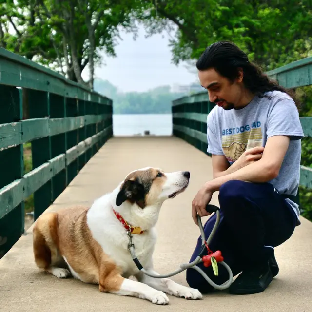 Every Dog Behavior and Training (North) — photo from the business 10