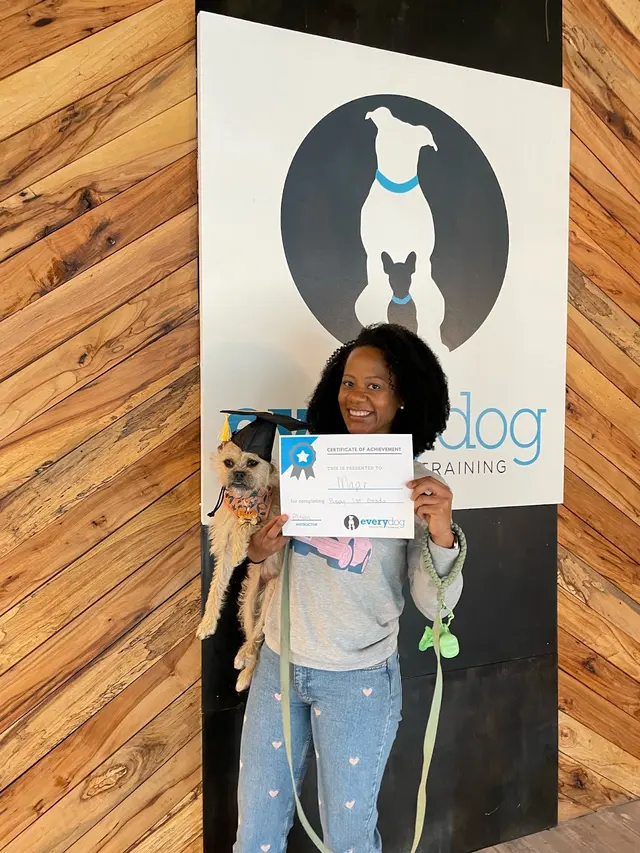 Every Dog Behavior and Training (North) — photo from the business 8
