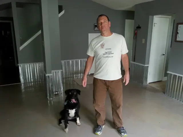K9 Kenny — photo from the business 12