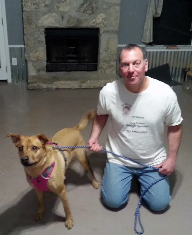 K9 Kenny — photo from the business 4