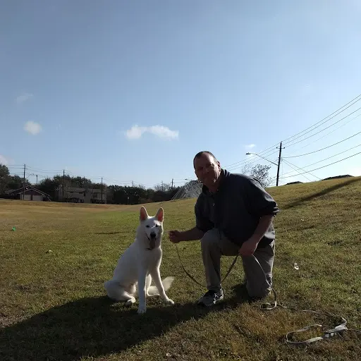K9 Kenny — photo from the business 9