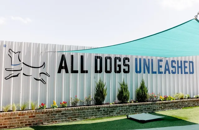 All Dogs Unleashed Dog Training — photo from the business 1