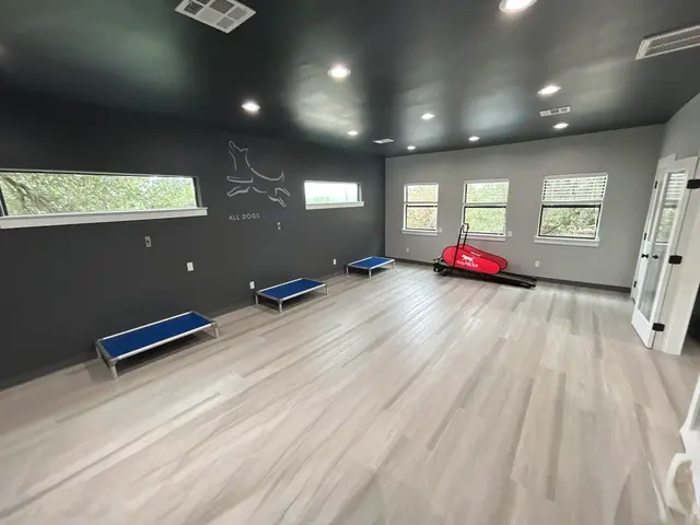 All Dogs Unleashed Dog Training — photo from the business 8