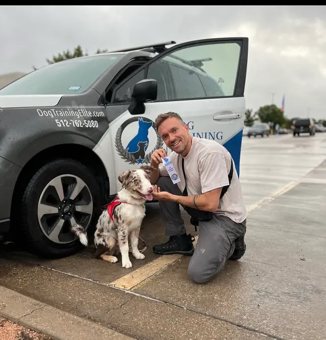 Dog Training Elite Austin — photo from the business 2