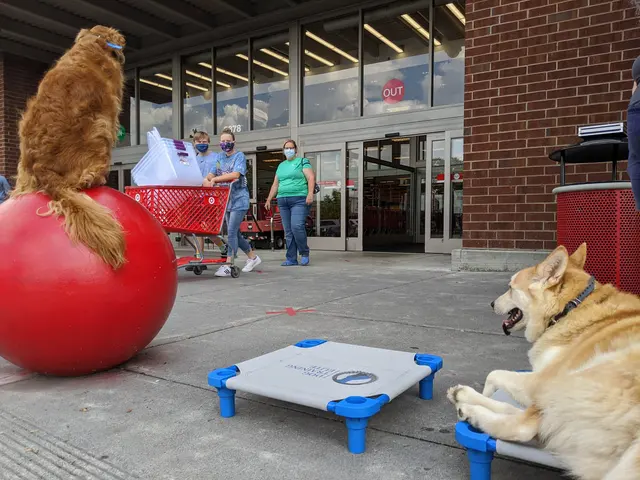 Dog Training Elite Austin — photo from the business 7