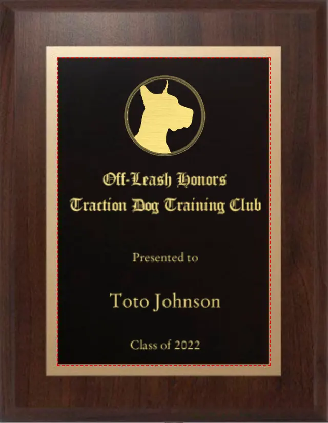 Traction Dog Training Club — photo from the business 8