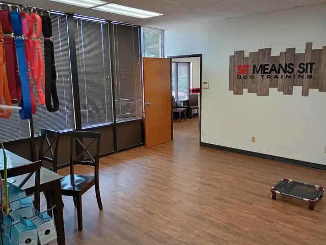 Sit Means Sit Dog Training - Austin — photo from the business 12