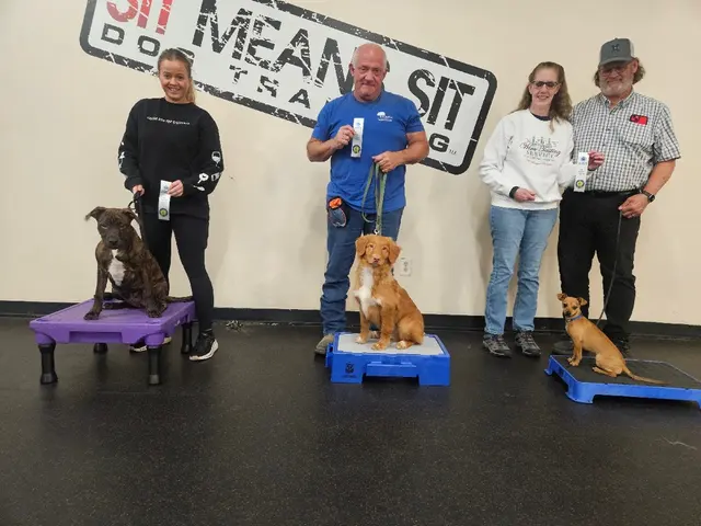 Sit Means Sit Dog Training - Austin — photo from the business 4