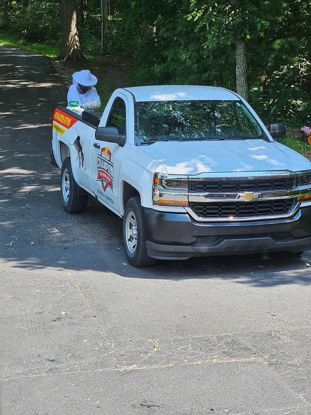 Champion Pest & Termite Control — customer photo 10