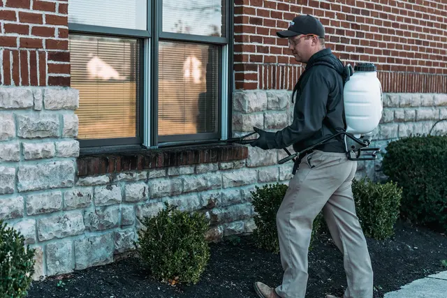 Champion Pest & Termite Control — photo from the business 3