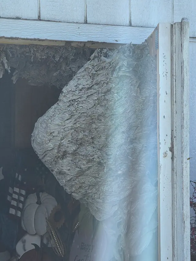 Customer photo of work by Zuckerman's Pest Management, from Anthony LaGrass's review