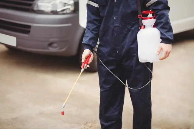 Bed Bug Exterminator Columbus — photo from the business 3