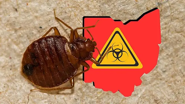 Bed Bug Exterminator Columbus — customer photo 9