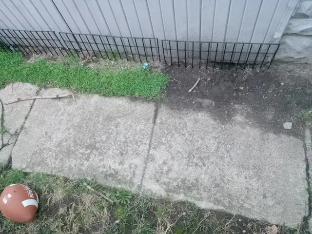 Pest Control PRO - Dublin — photo from the business 9