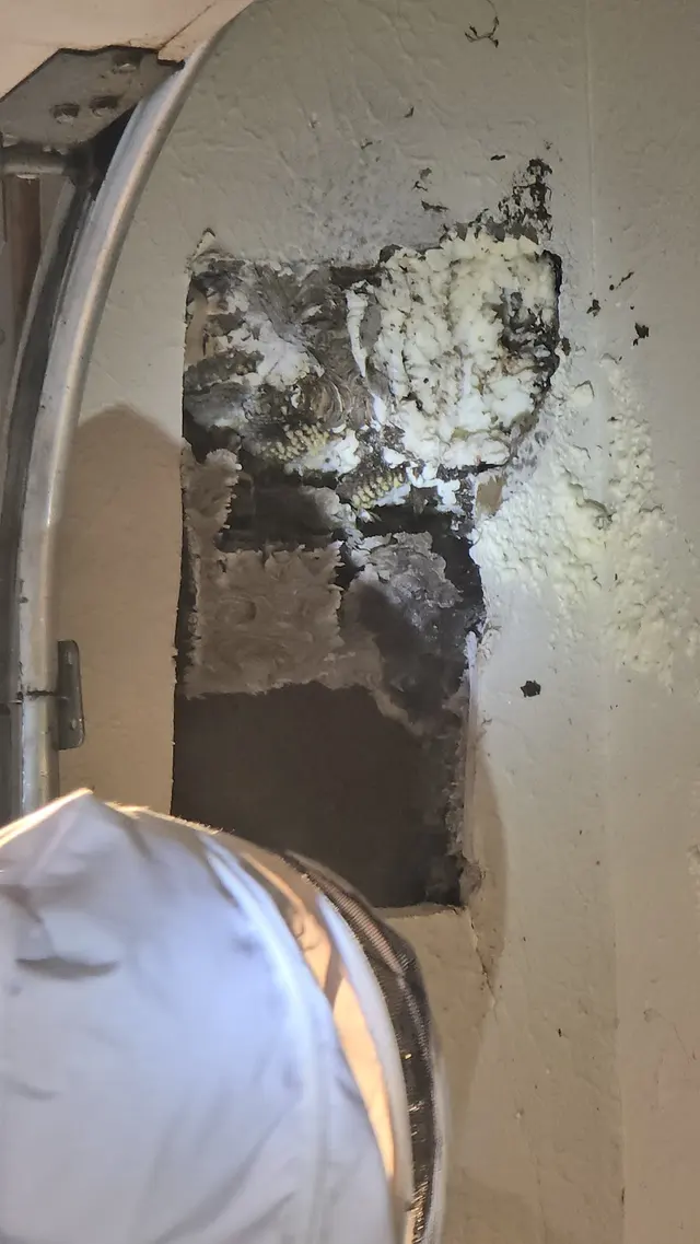 Pest Control PRO - Dublin — customer photo 11