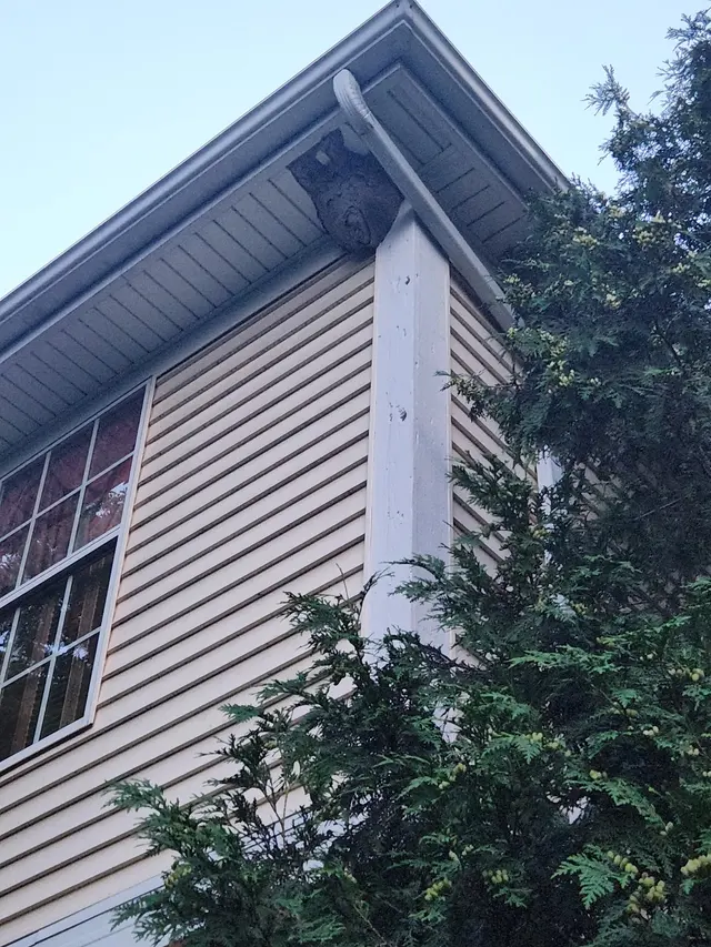 Pest Control PRO - Dublin — customer photo 10