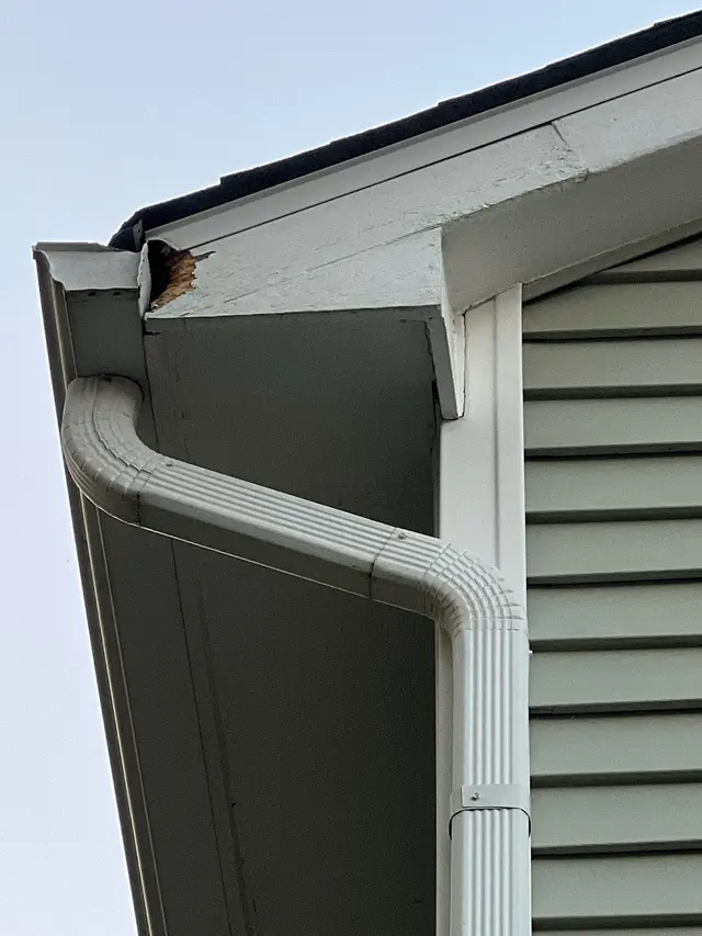 Pest Control PRO - Dublin — photo from the business 3