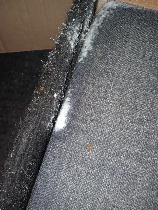 Pest Control PRO - Dublin — photo from the business 8