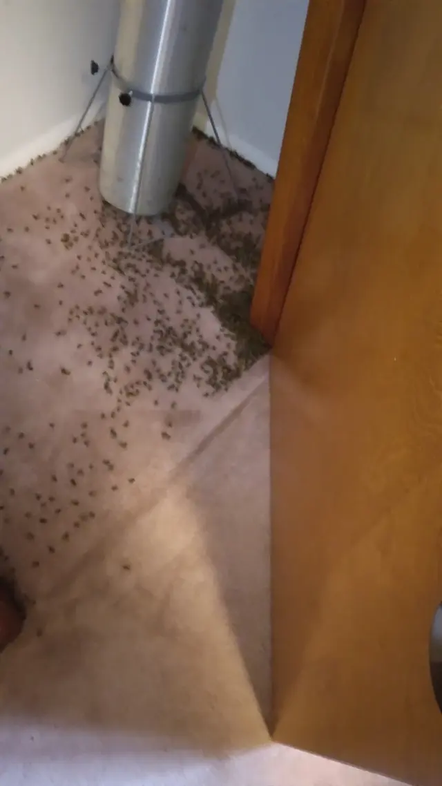Scherzinger Pest Control — customer photo 7