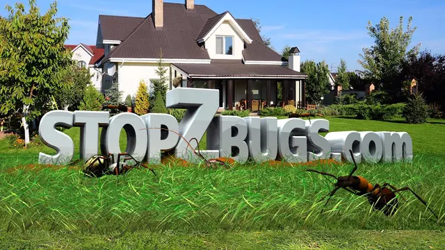 Scherzinger Pest Control — photo from the business 1