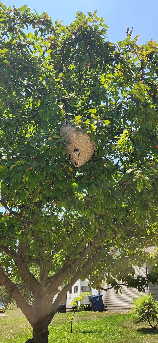 Scherzinger Pest Control — customer photo 3