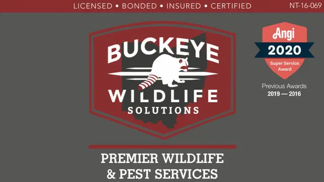 Buckeye Wildlife Solutions — photo from the business 1