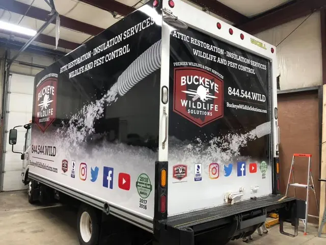 Buckeye Wildlife Solutions — photo from the business 8