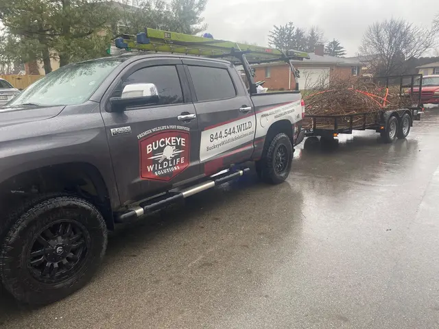 Buckeye Wildlife Solutions — photo from the business 2