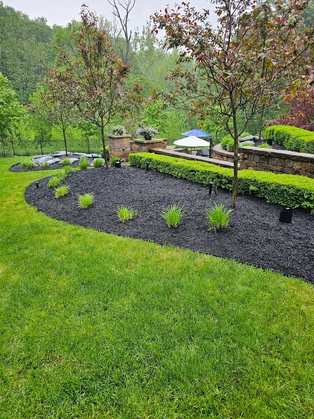 1st Response Pest Management — customer photo 12
