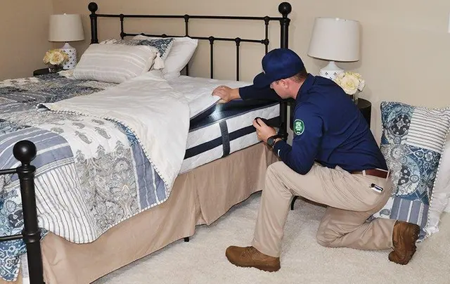 1st Response Pest Management — photo from the business 8