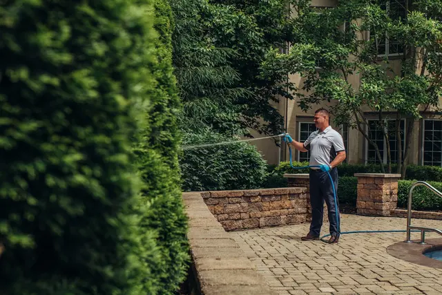 1st Response Pest Management — photo from the business 7